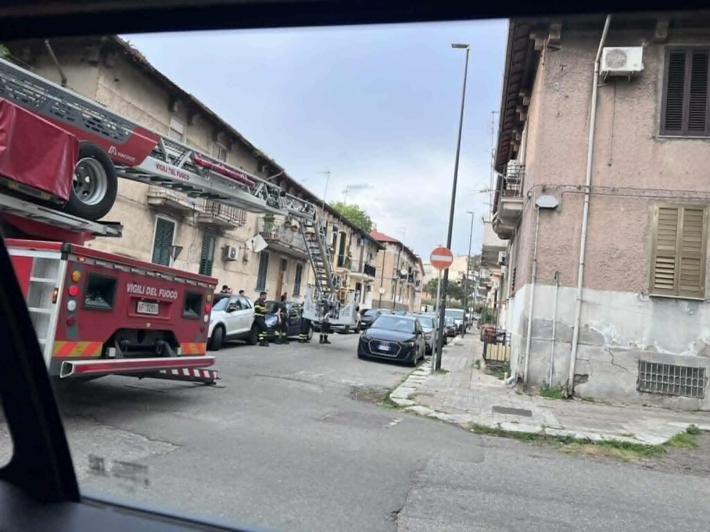 vigili del fuoco intervento api
