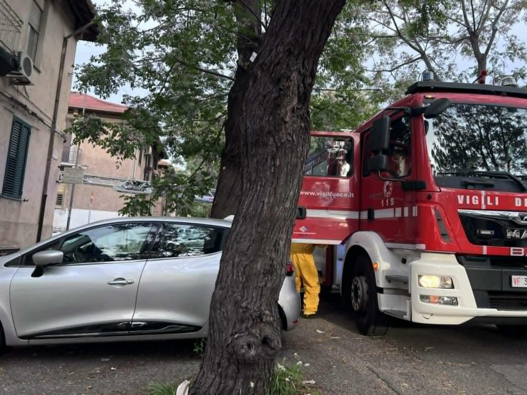 vigili del fuoco intervento api