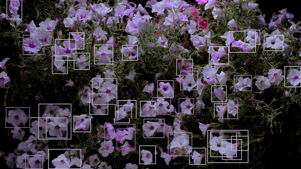 404 human not found