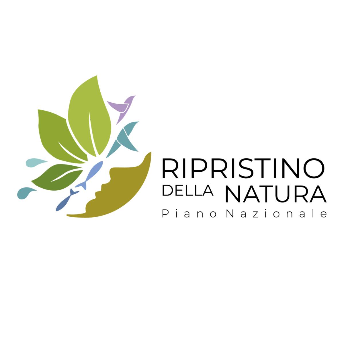 Appello candidati sindaco siciliani