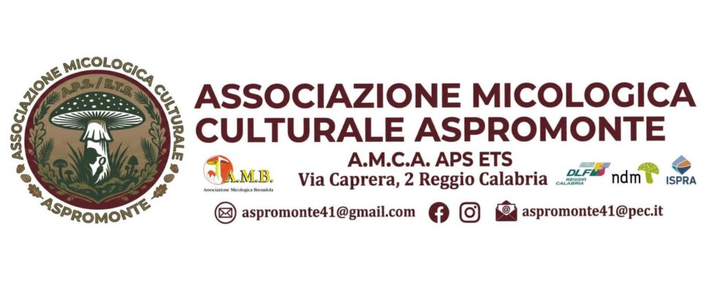 Associazione Micologica Culturale Aspromonte