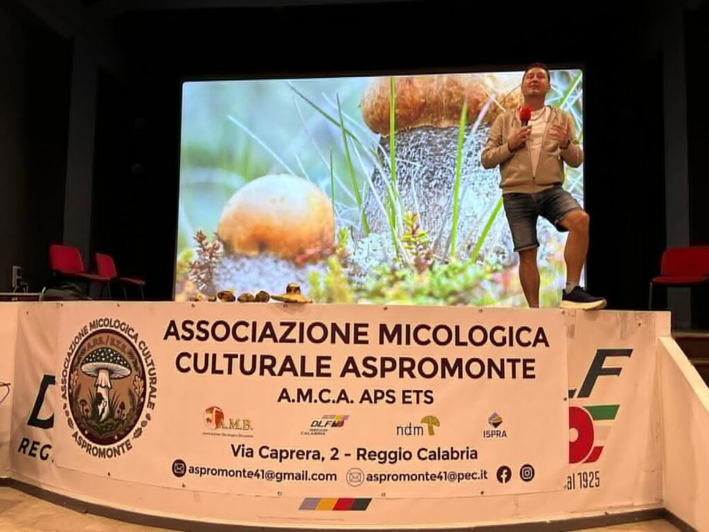 Associazione Micologica Culturale Aspromonte