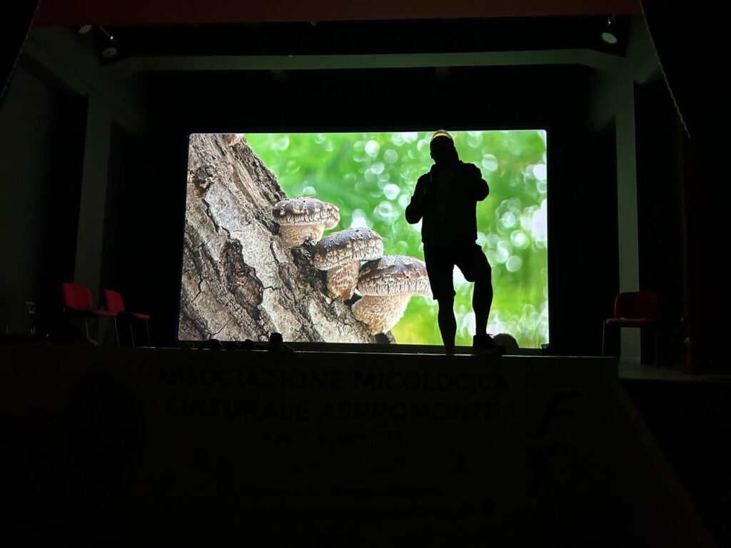 Associazione Micologica Culturale Aspromonte