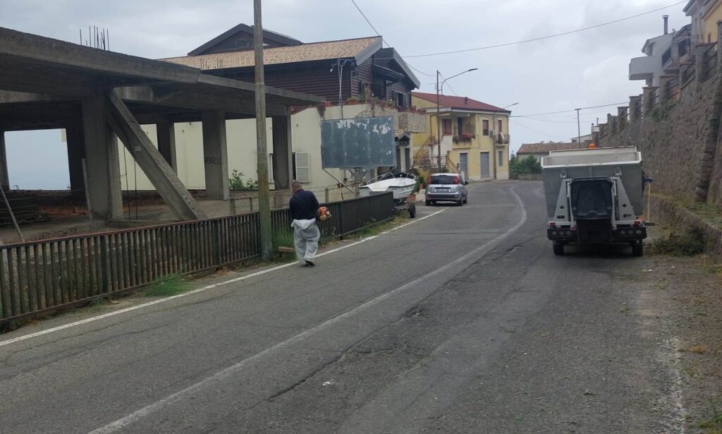 cirò -ERBACCE