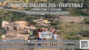 City Challenge