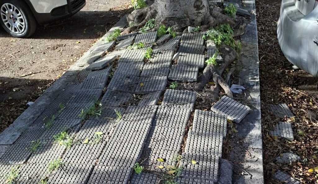 Degrado Rione Marconi Reggio Calabria