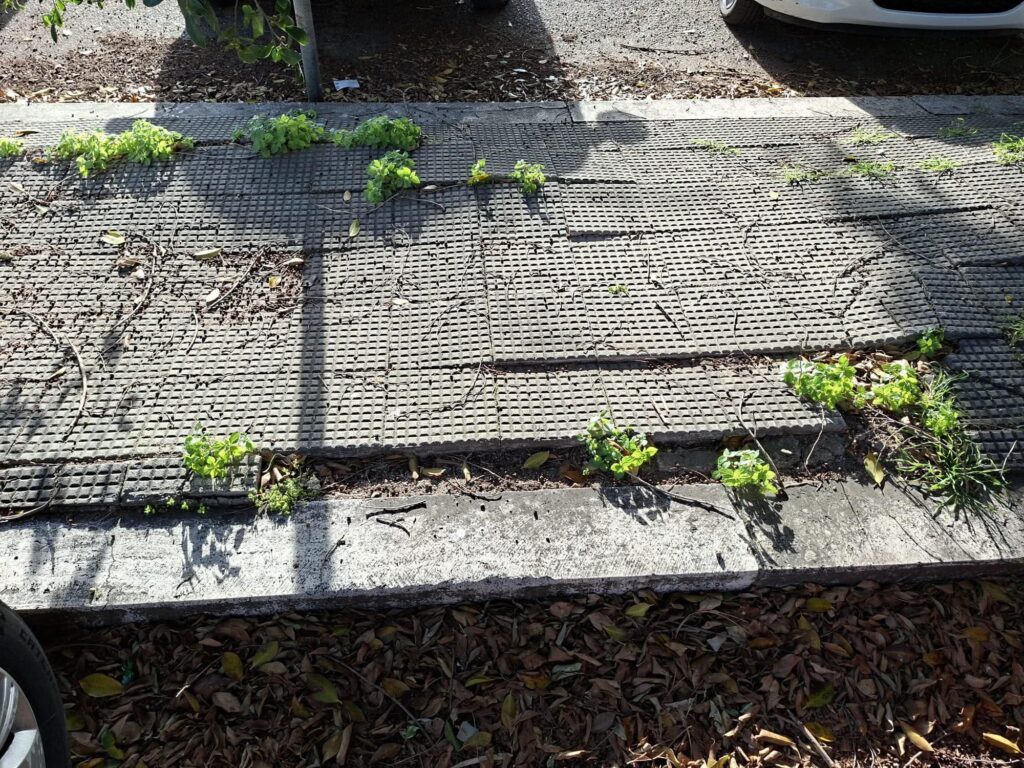 Degrado Rione Marconi Reggio Calabria