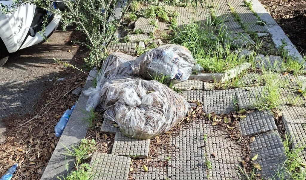 Degrado Rione Marconi Reggio Calabria