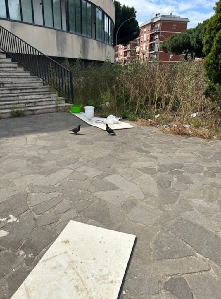 Girasole Reggio Calabria