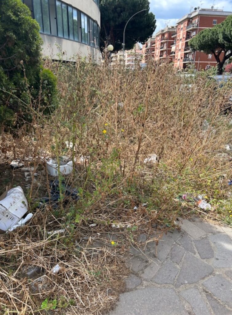 Girasole Reggio Calabria