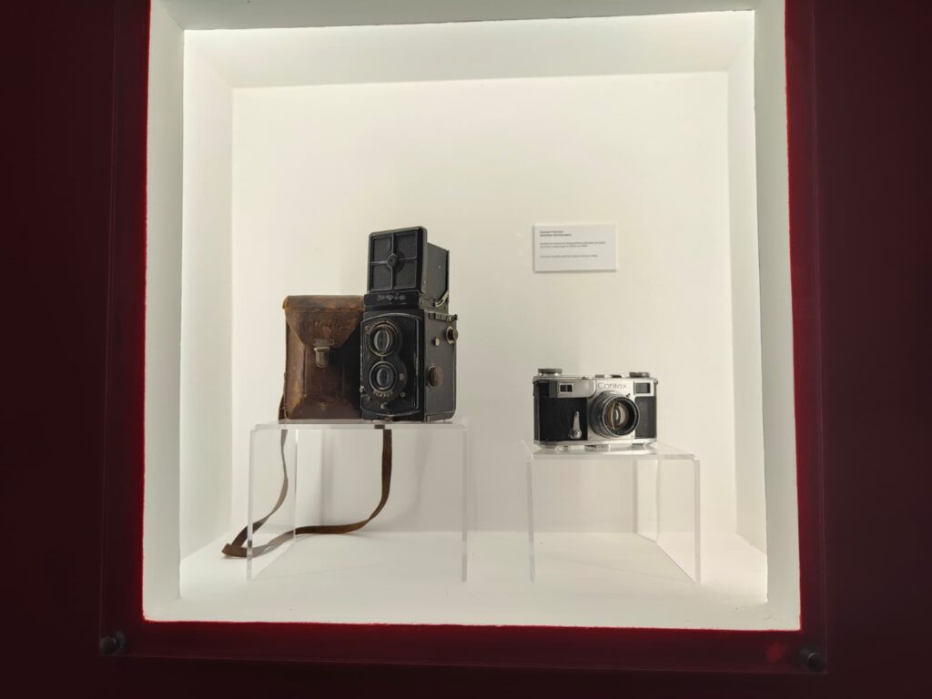 Museo Troina