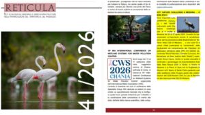 Reticula City Natura Challenge a Messina