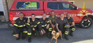 Salvataggio cane Vigili Fuoco Cosenza