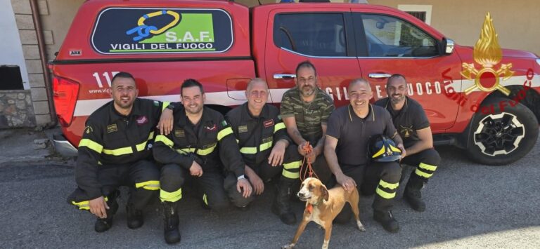 Salvataggio cane Vigili Fuoco Cosenza