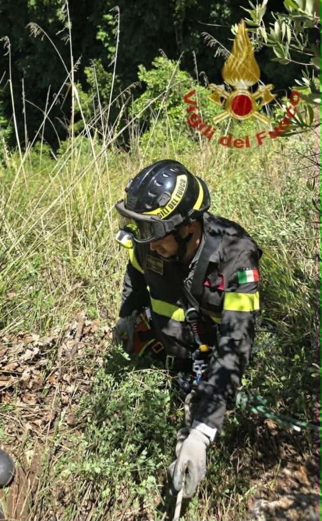 Salvataggio cane Vigili Fuoco Cosenza