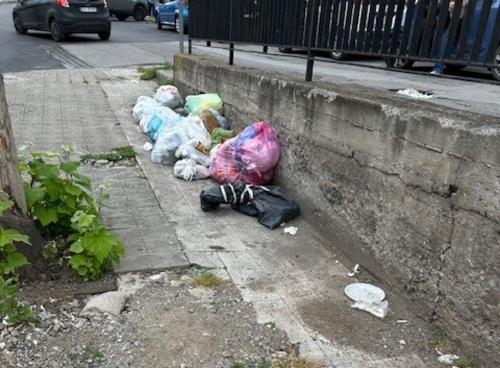 Spazzatura viale Europa