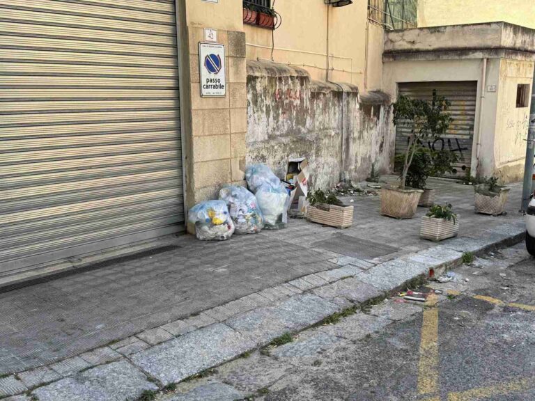 Reggio Calabria, via San Paolo nel degrado tra spazzatura e randagismo: la denuncia di un cittadino | FOTO