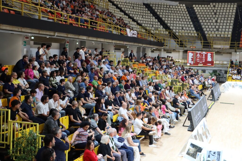Tifosi Viola