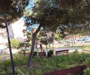 alberi pericolanti archi