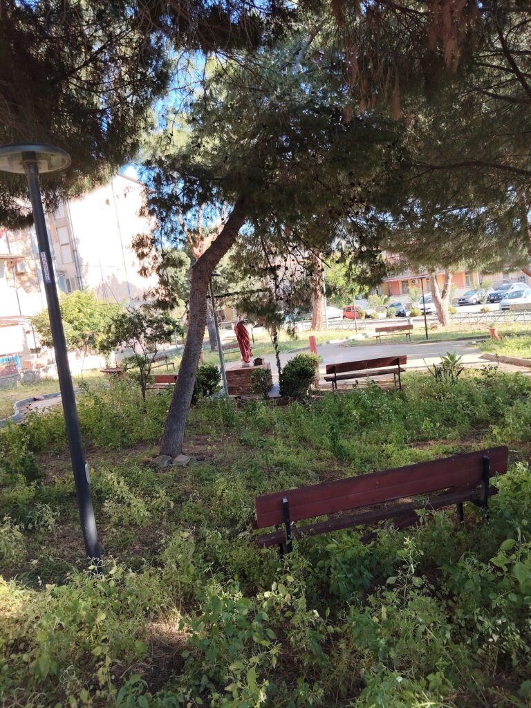 alberi pericolanti archi