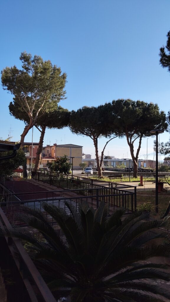 alberi pericolanti archi