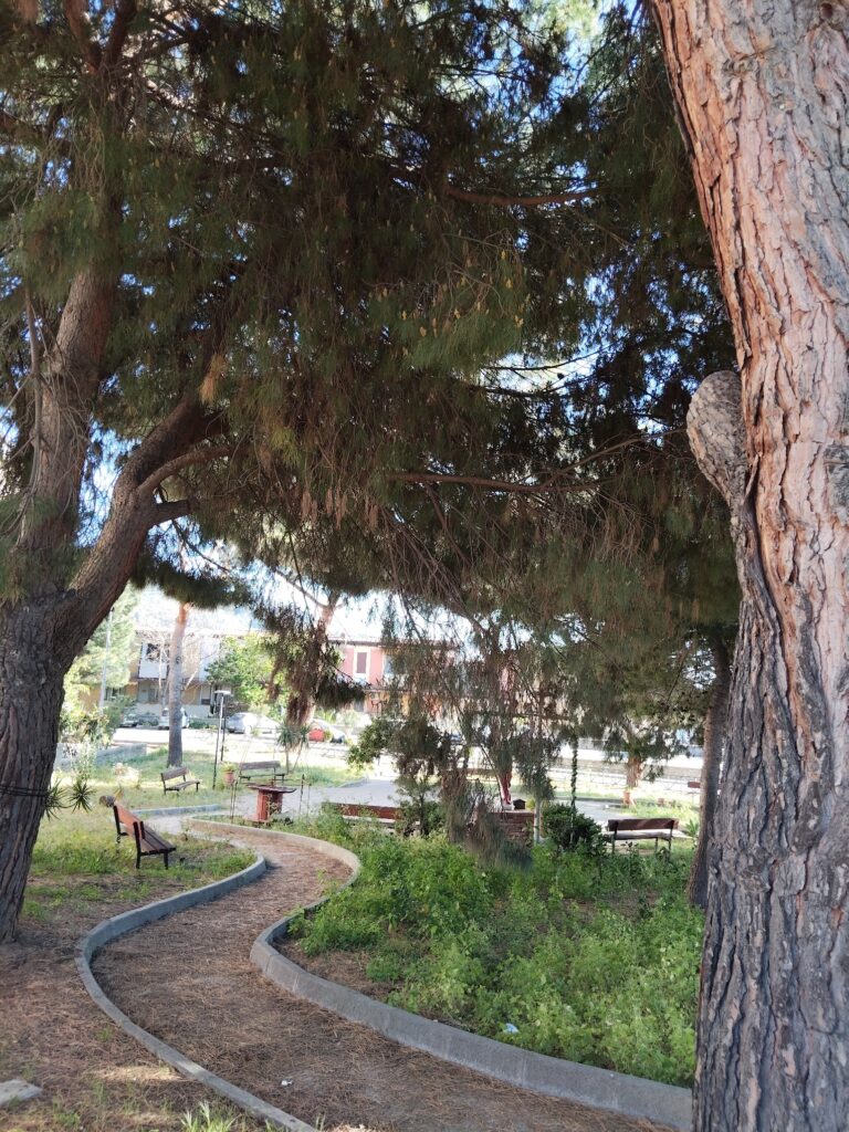 alberi pericolanti archi