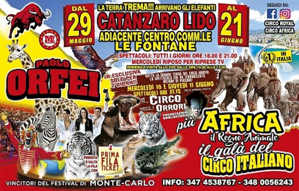 circo orfei