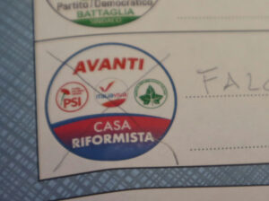 elezioni comunali reggio calabria 2026 voto casa riformista