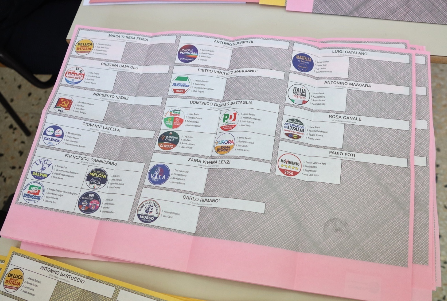 elezioni politiche 2022 reggio calabria