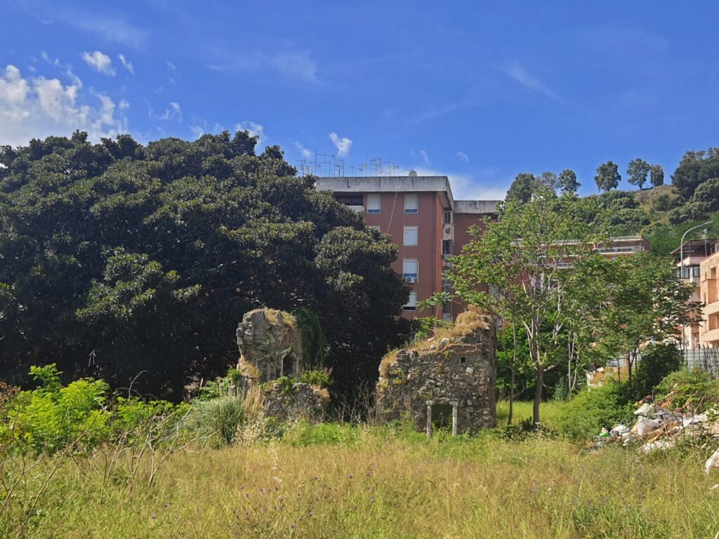 parco magnolia