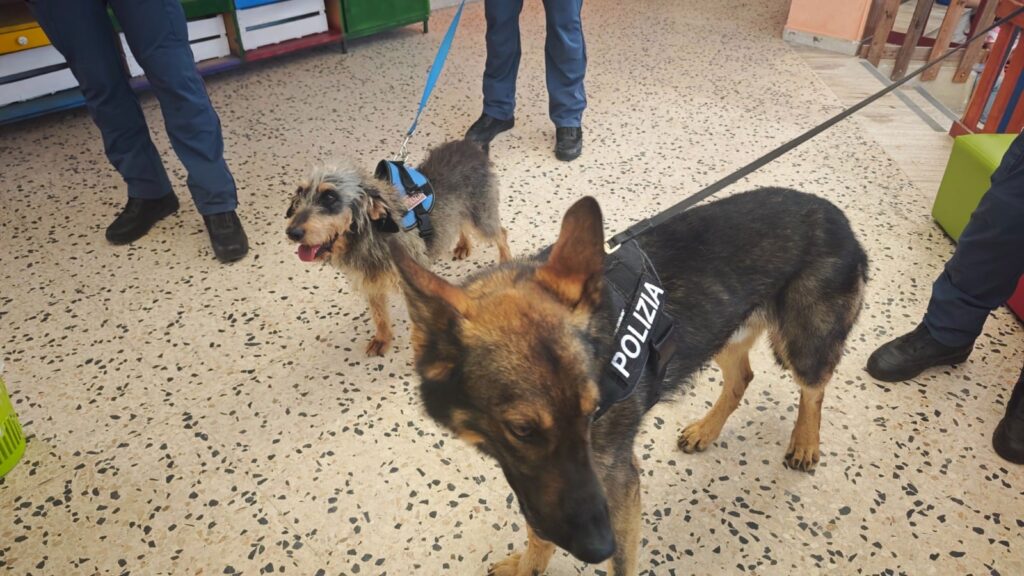 polizia scuola arangea