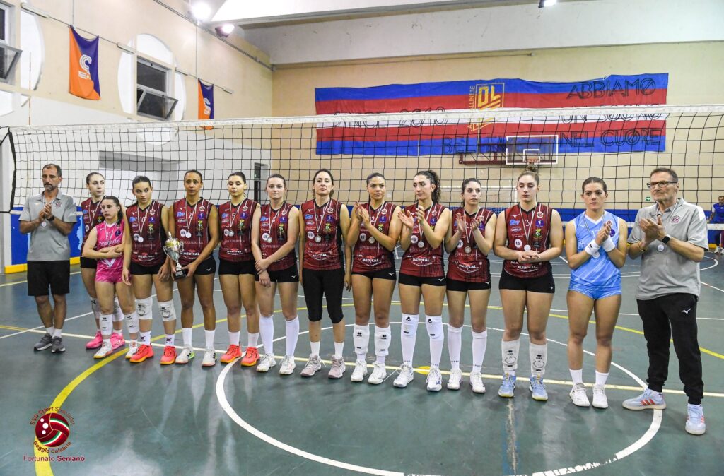 puliservice volley