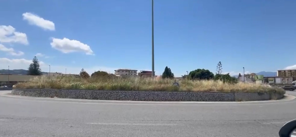 rotonda gallico erbacce