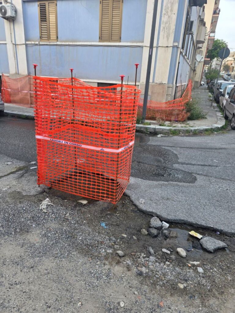 voragini