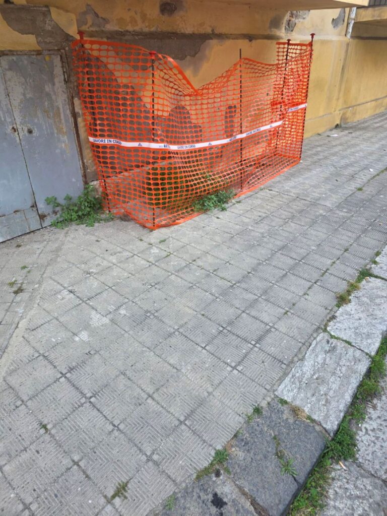 voragini