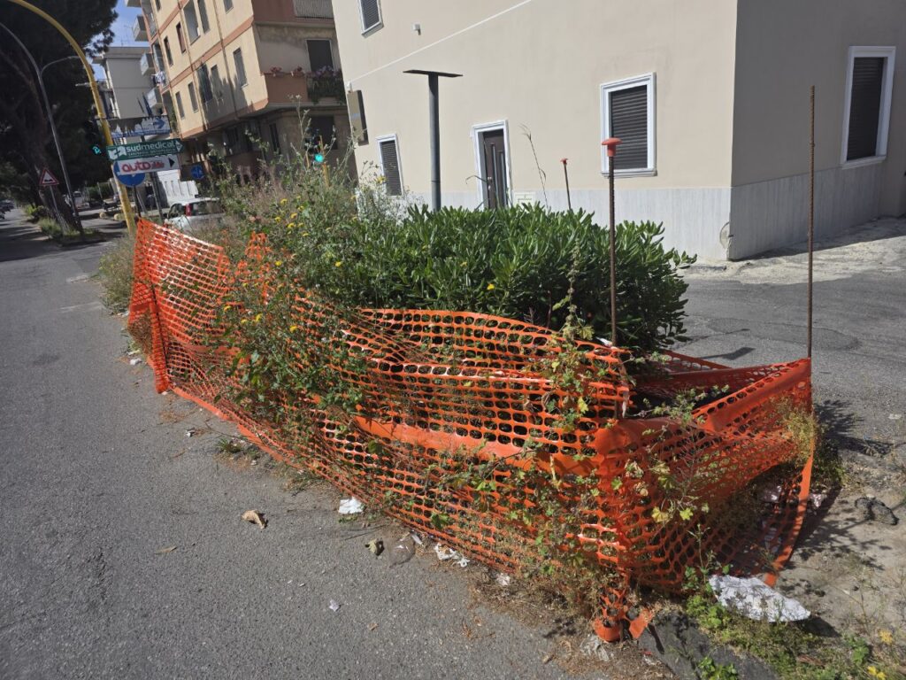 voragini