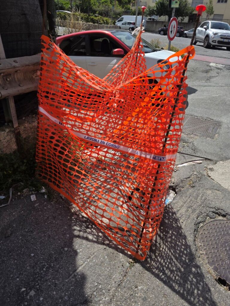 voragini