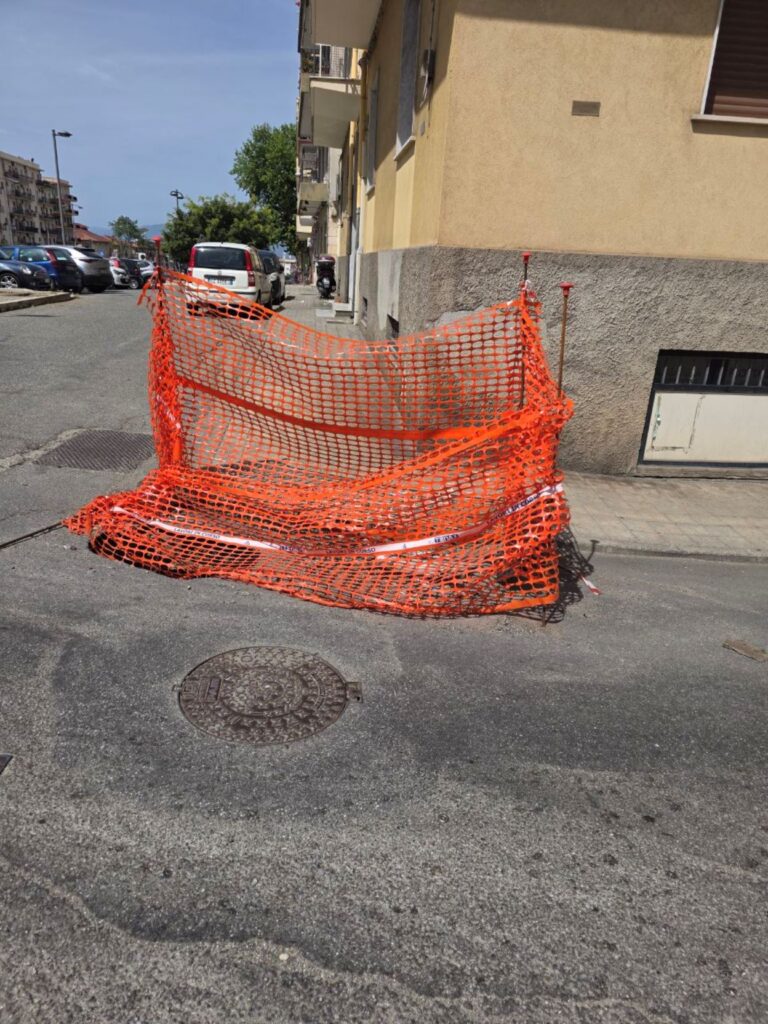 voragini
