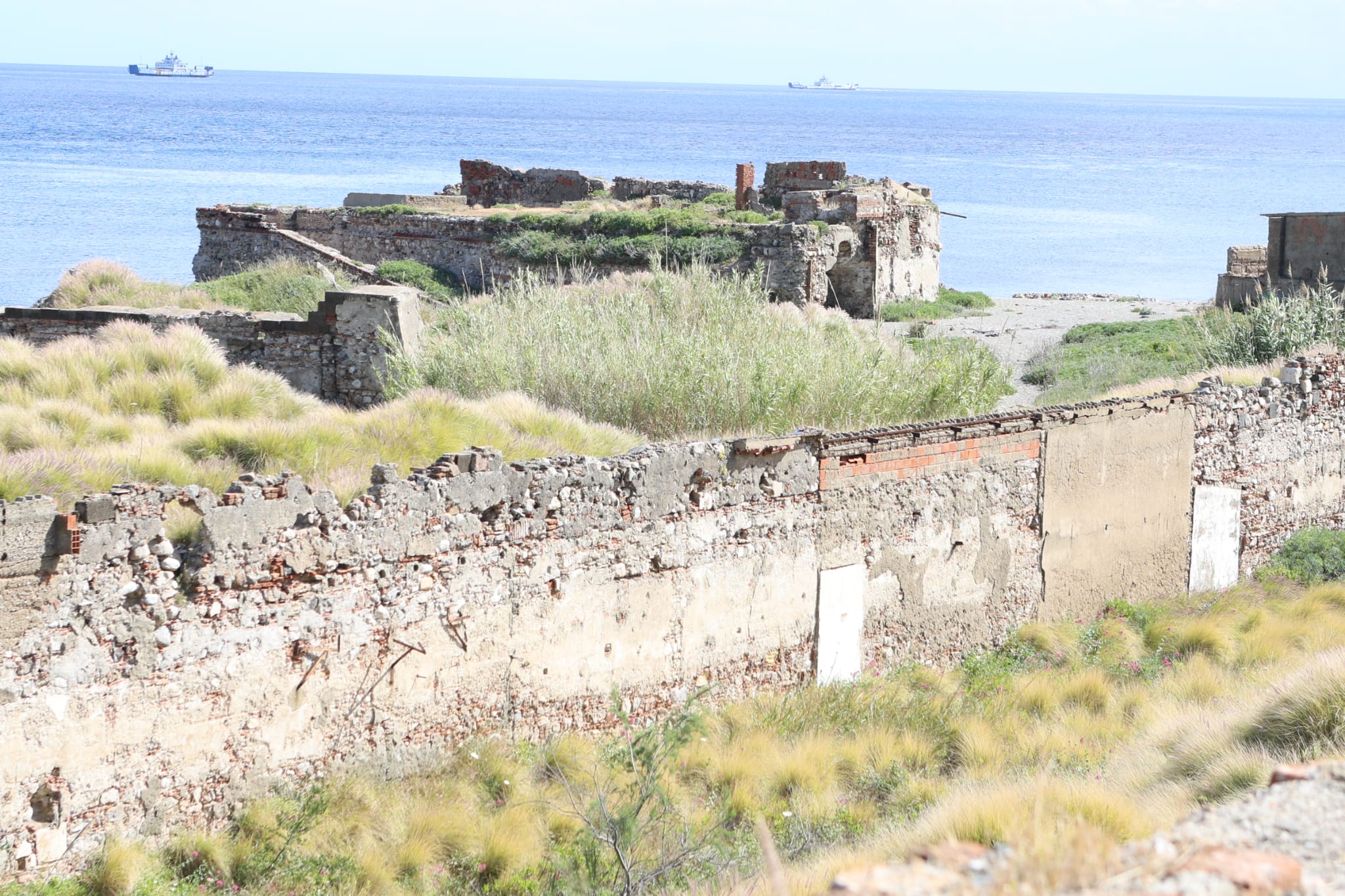 zona falcata 4