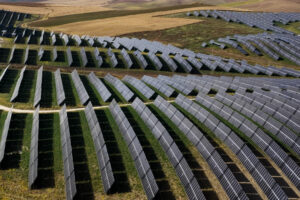 AMAZON, PARCO SOLARE MONREALE-GIBELLINA