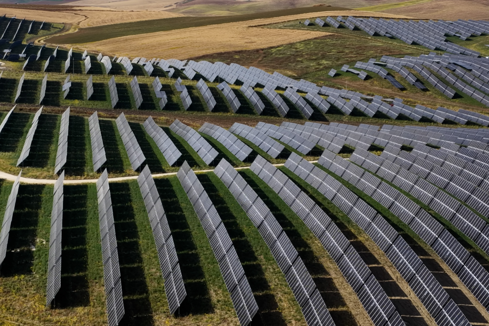 AMAZON, PARCO SOLARE MONREALE-GIBELLINA.jpg