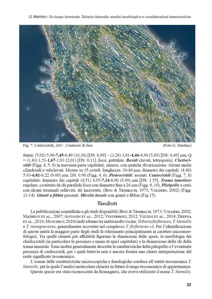 Bollettino del G. Carini