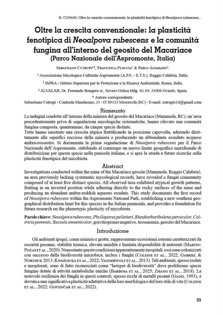 Bollettino del G. Carini