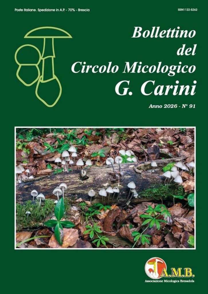 Bollettino del G. Carini