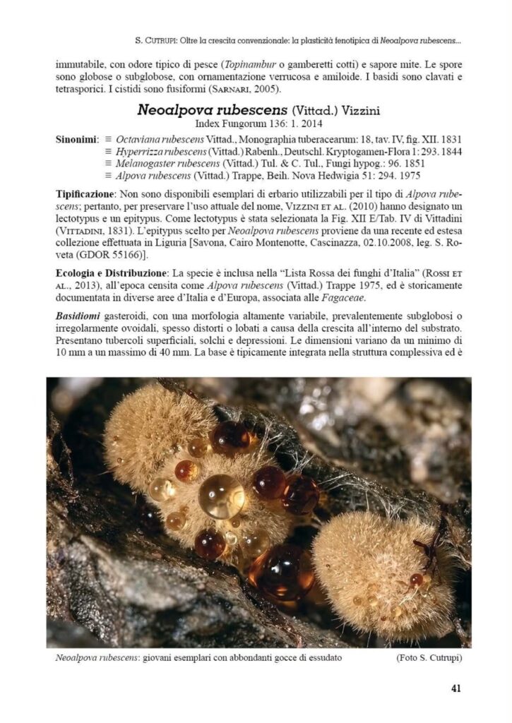 Bollettino del G. Carini