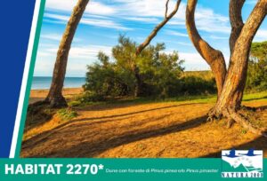 Carta dei Comuni Custodi delle Dune Costiere Mediterranee