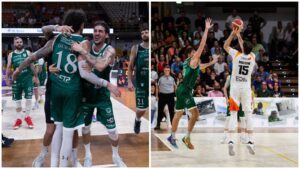 Finale Viola-Avellino
