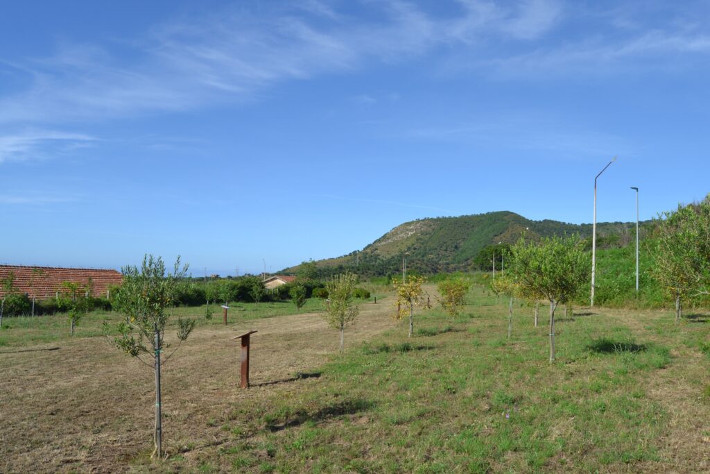 Il bosco dei frutti dimenticati