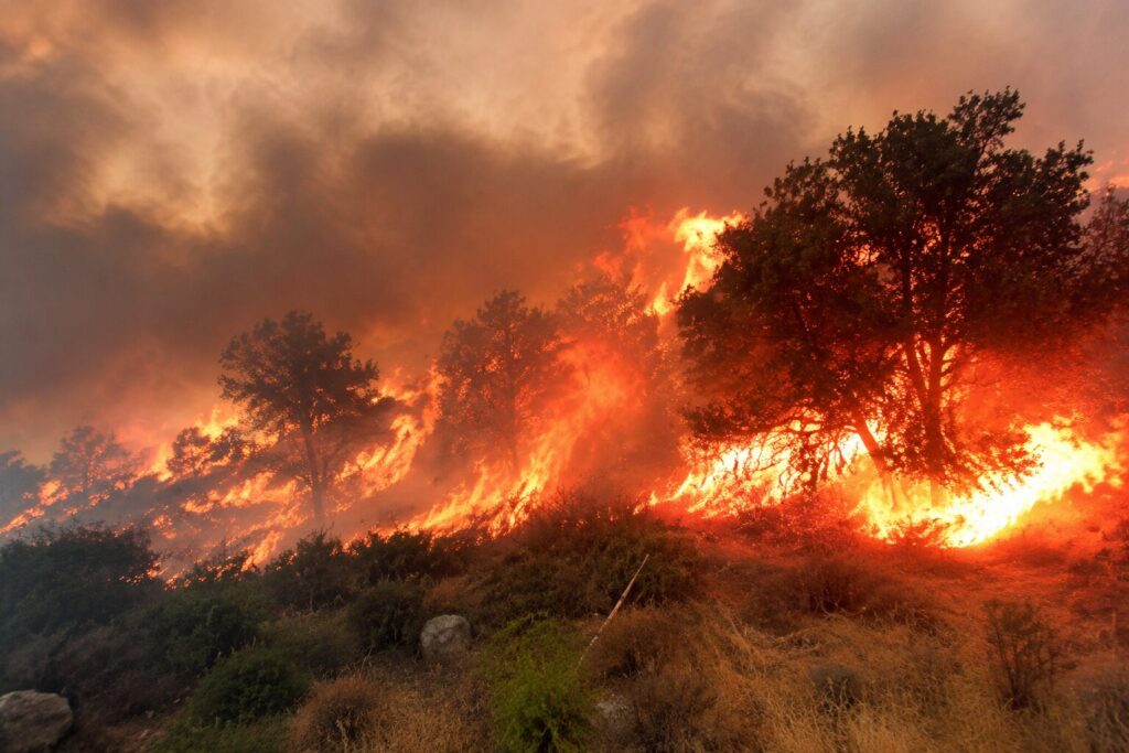Incendio boschivo
