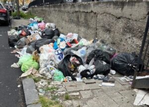 Spazzatura-viale-Europa